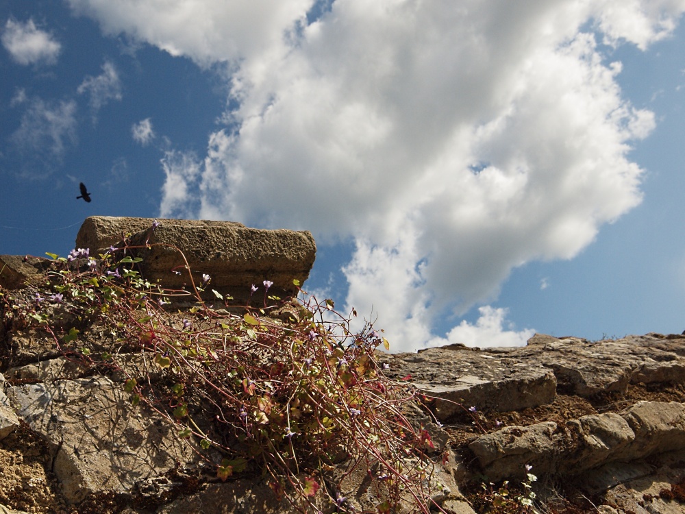 Stone wall in Dinton, Bucks