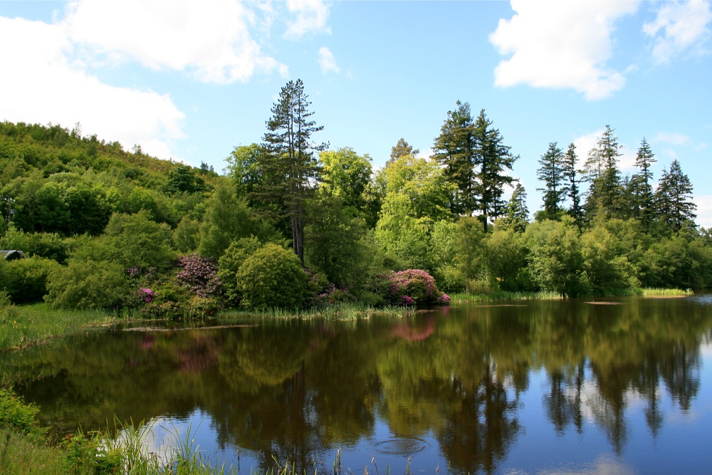 The Lake at Cragside photo by Roy Jackson