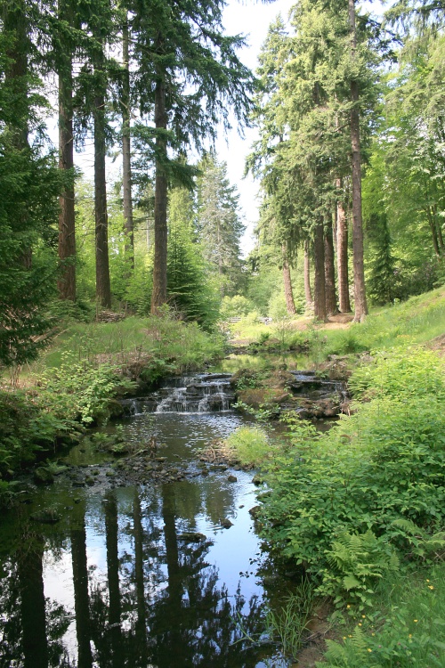 Woodland Walk at Cragside