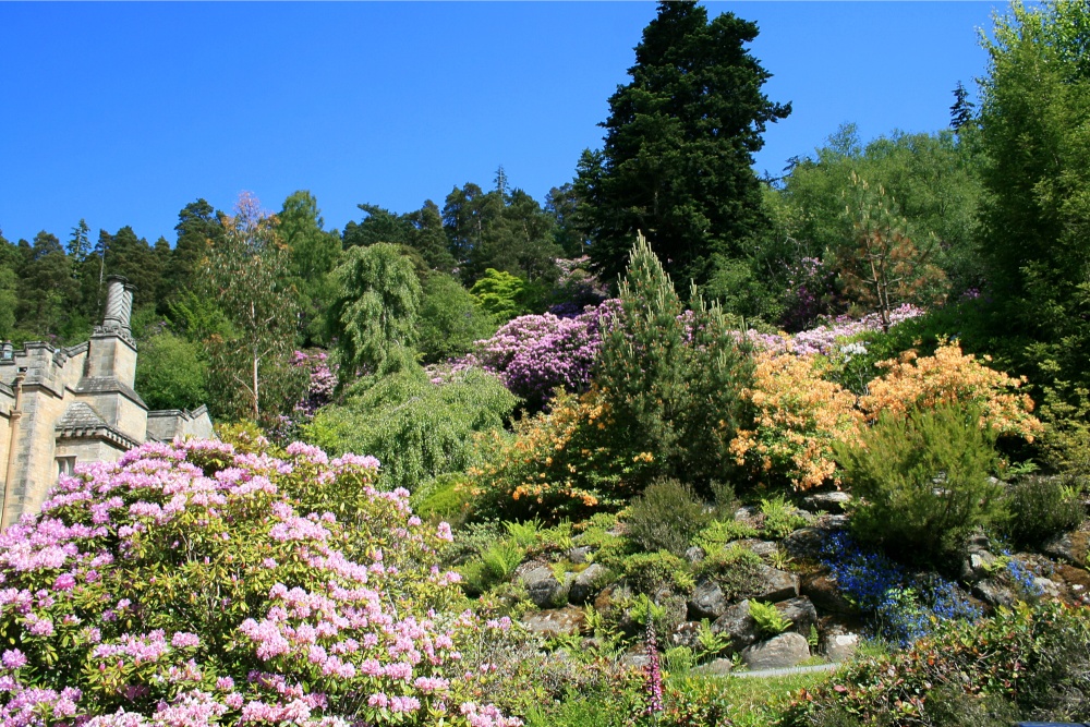 The House and gardens at Cragside.