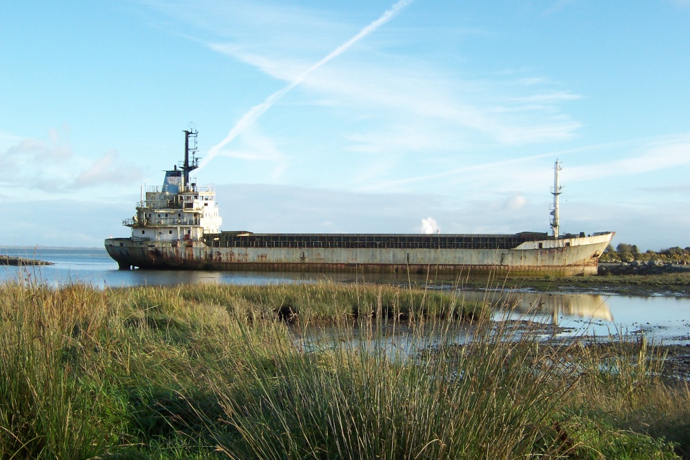 Ruin of the Matrisha on the Shannon River