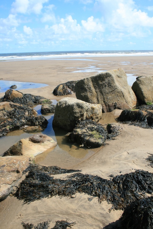 Whitby Rocks
