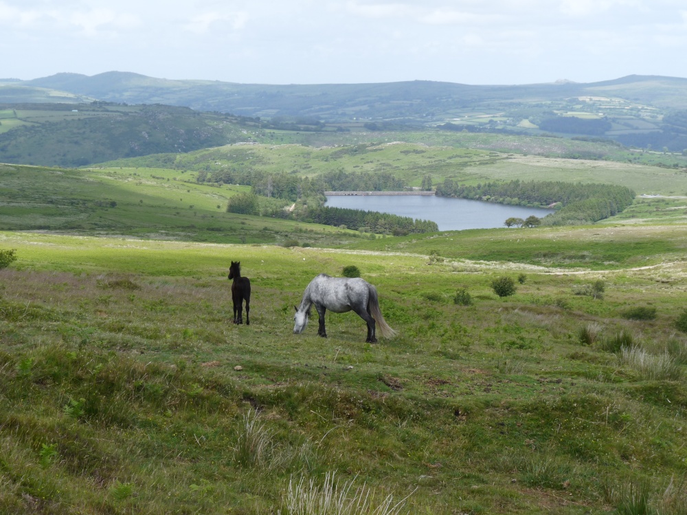 Venford Reservoir
