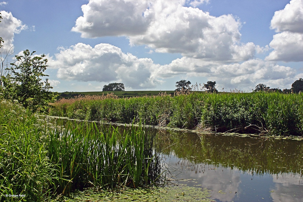 Hinton St. Mary, Dorset.