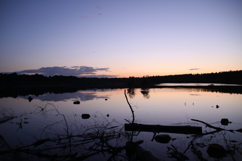 Photograph of Delamere Sunset June 2009 - Photo 2