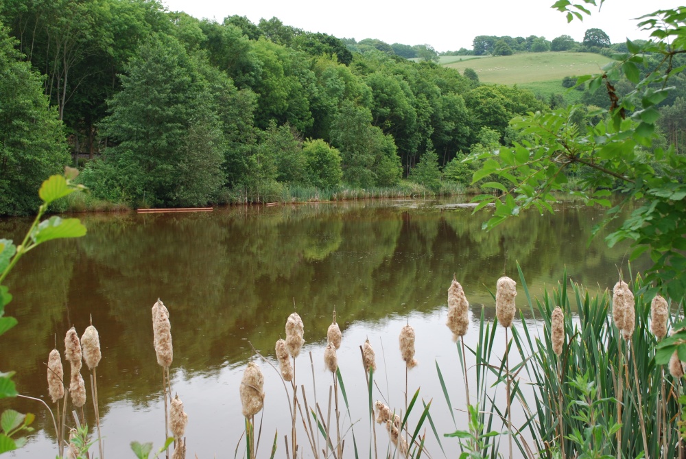 Trimpley Reservoir