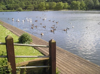 Moses Gate Country Park near Little Lever