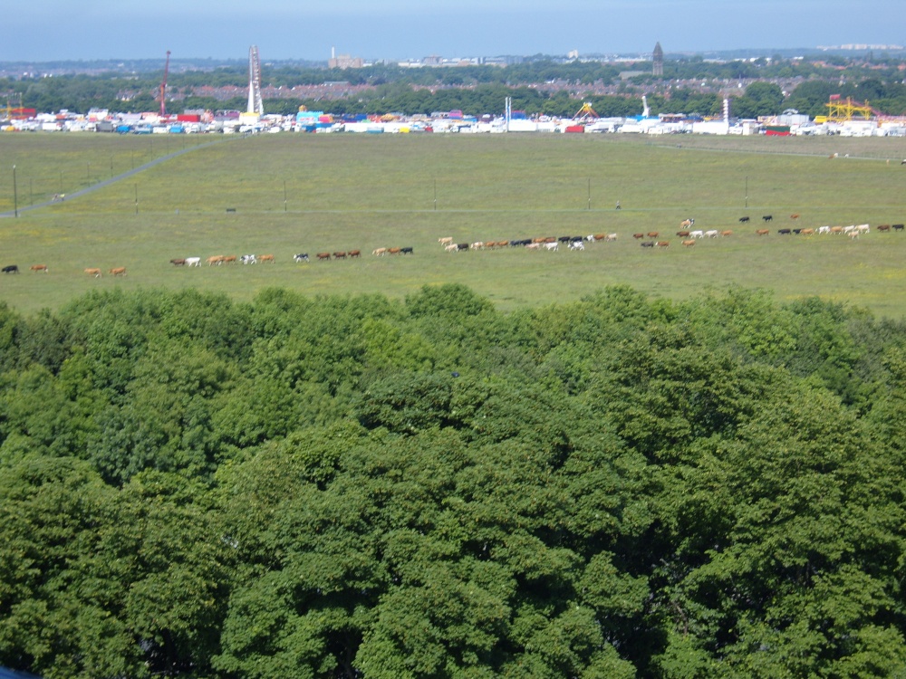 Annual Hoppings on the Town Moor