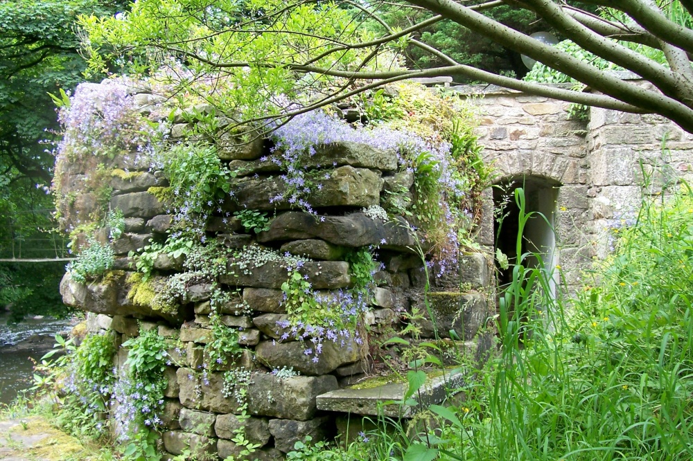 Garden at Mill Barn Samlesbury
