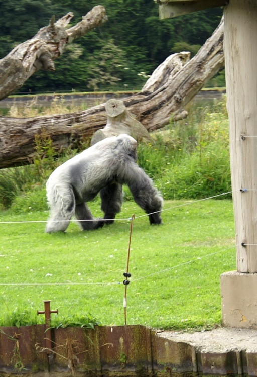 Walks away in disgust.