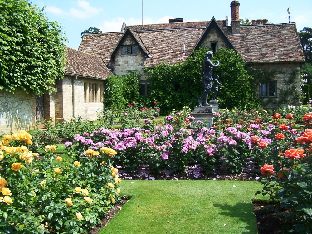 The Rose gardens at Anglesey Abbey photo by Hilda Whitworth