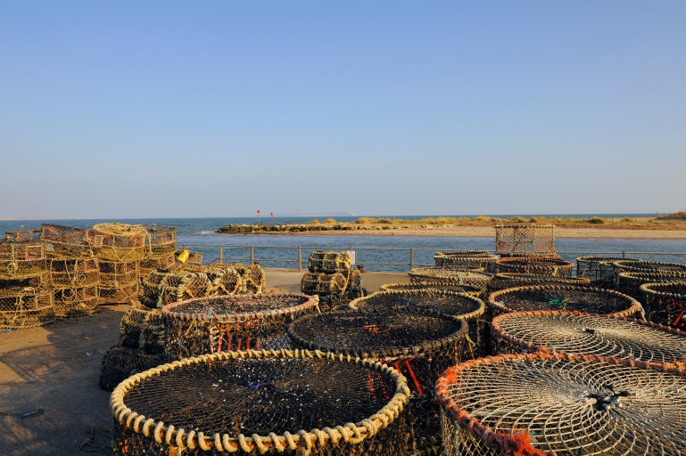 Fishing / Crab Baskets at Mudeford Quay - March 2009