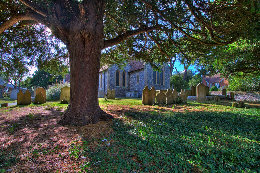 Looking from the village