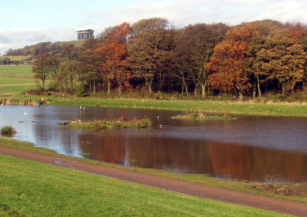 An autumn scene in Herrington Country Park
