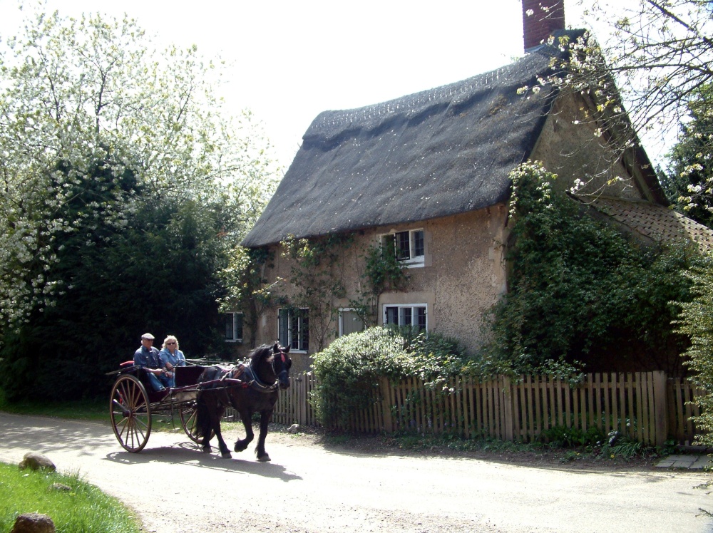 Pony and trap passing thatched cottage at Blickling Hall photo by Christopher Duckworth