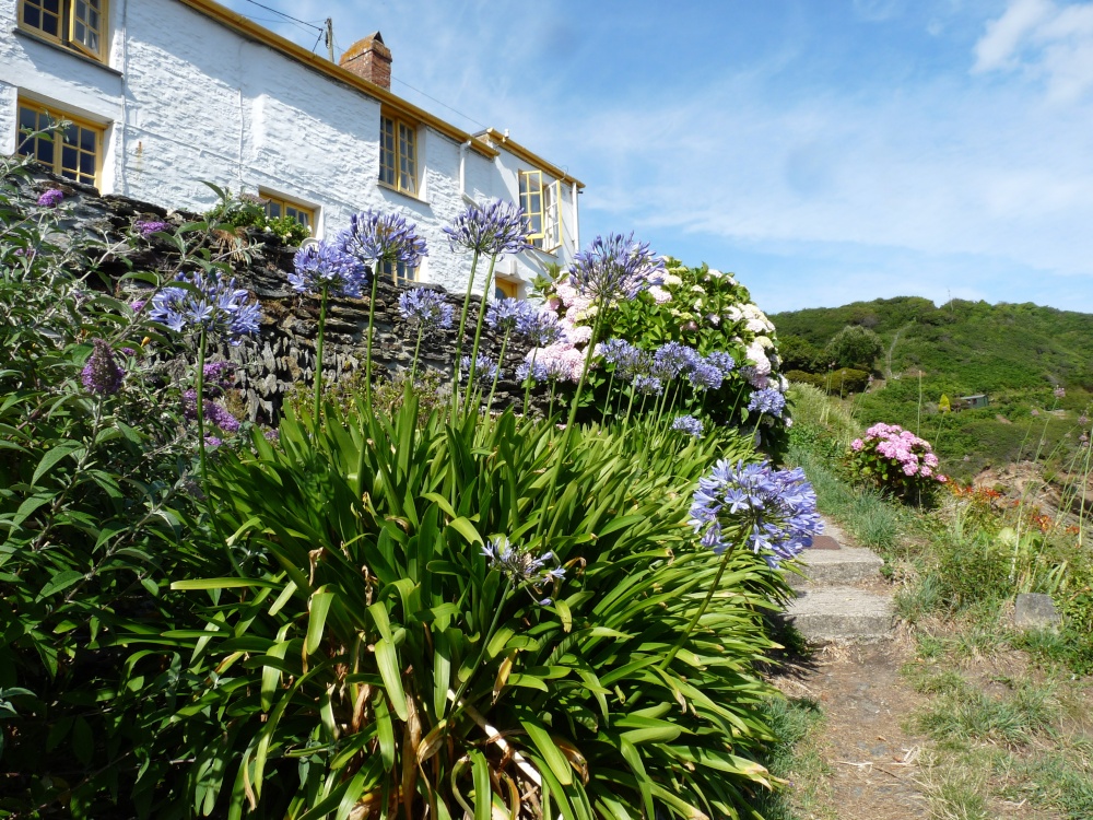 Photograph of Portloe