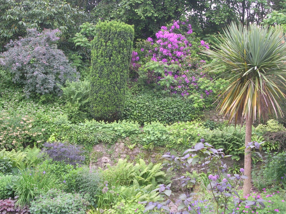 Photograph of Spring in the garden