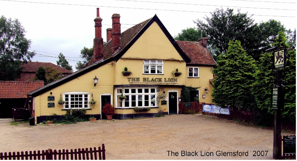 Photograph of Black Lion