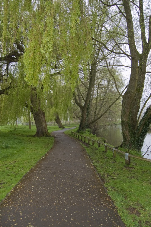 Path beside the river