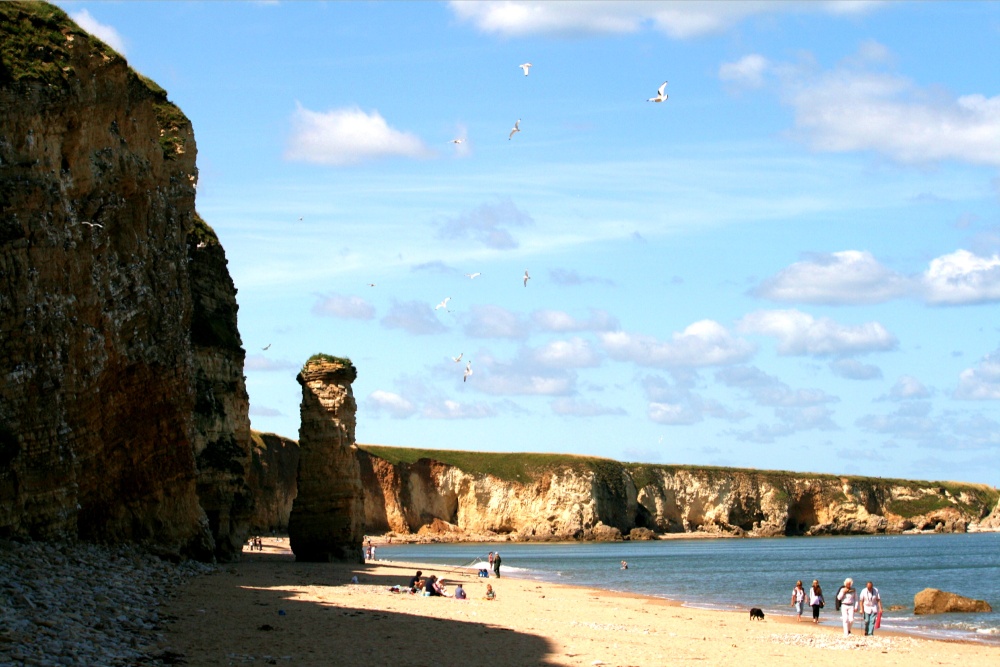 The beach and cliffs at Marsden Bay.