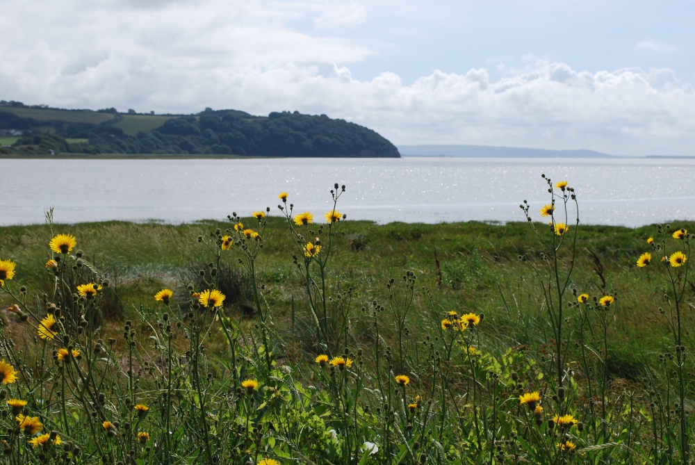 The coast at Laugharne
