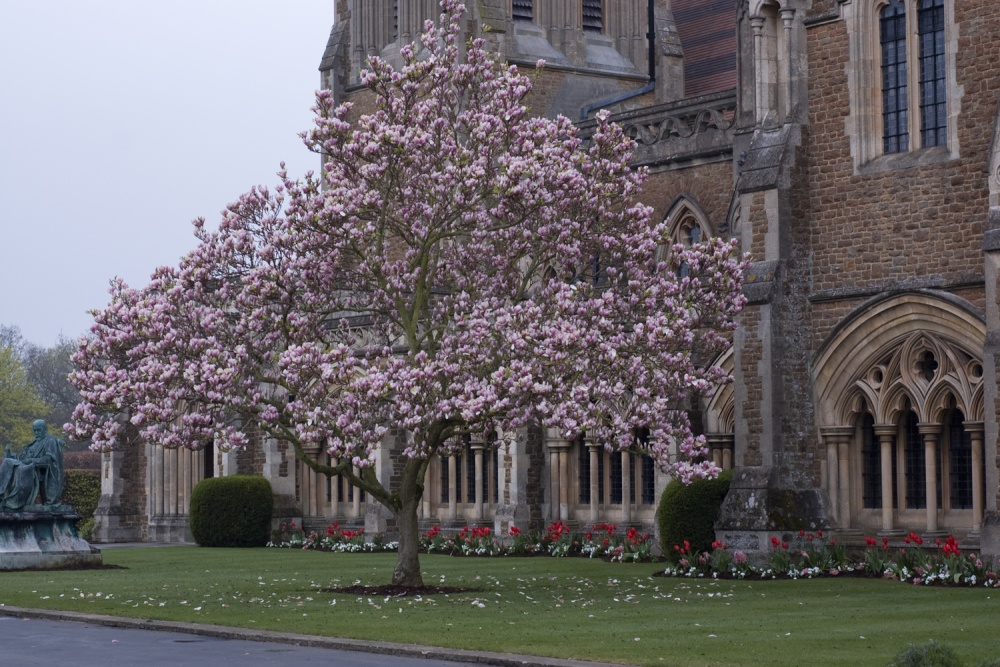 Photograph of Charterhouse
