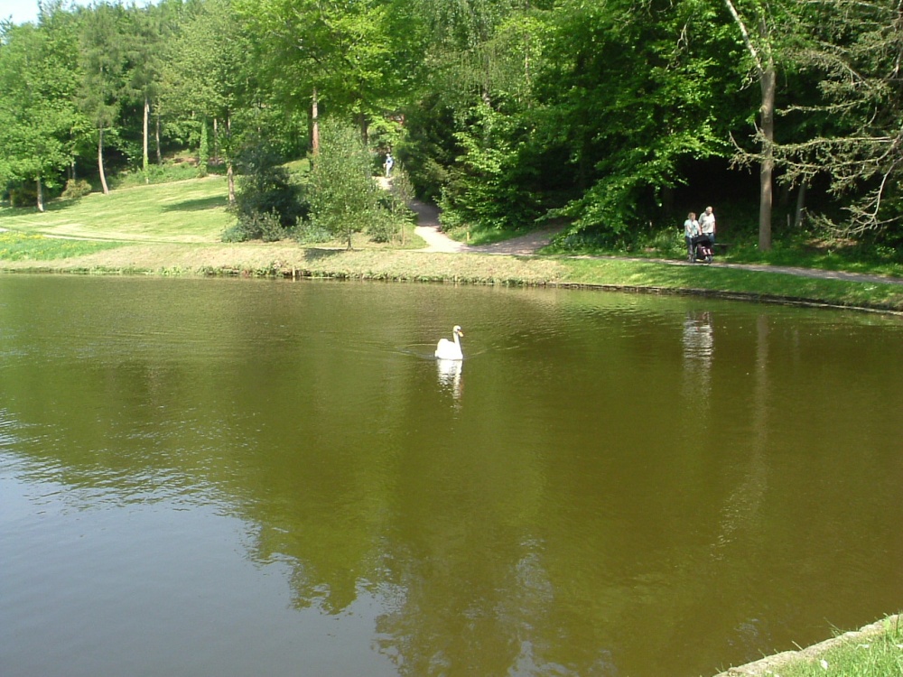 The lake at Hestercombe