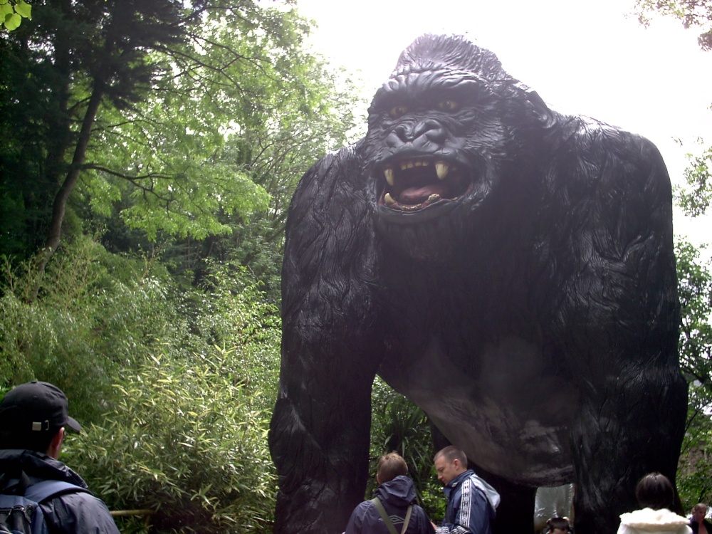 Photograph of King Kong at Wookey