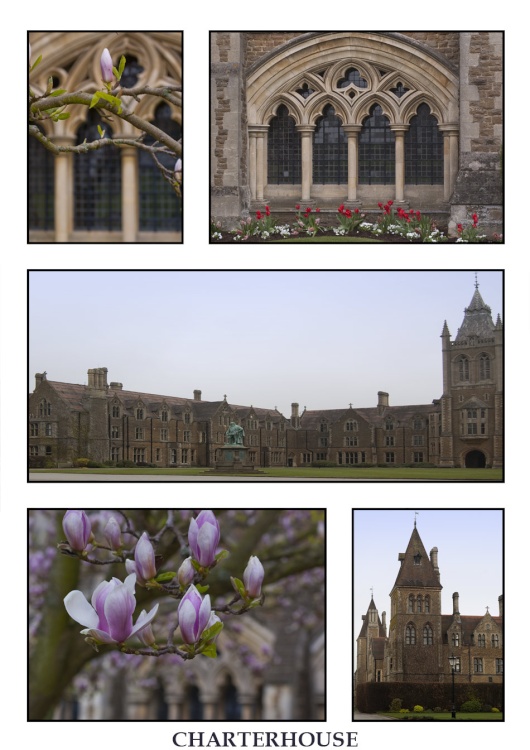 Spring in Charterhouse