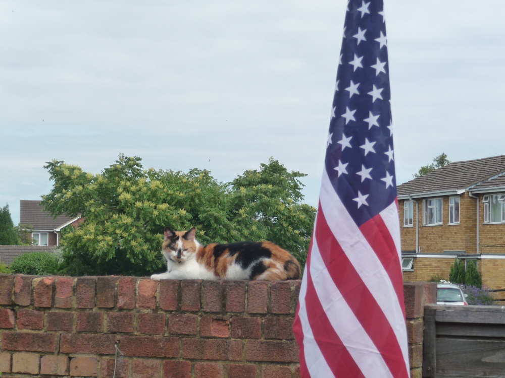 Photograph of 4th of July in Oxfordshire