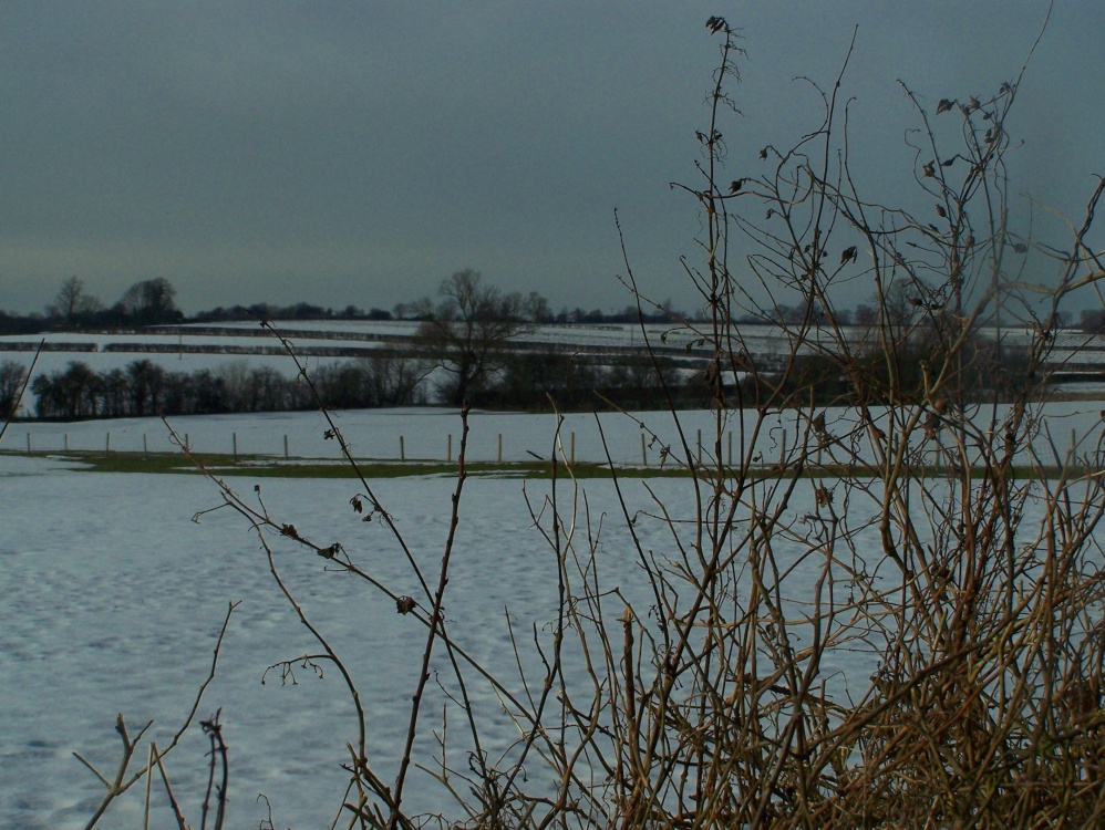Snowy Field, Hillesden
