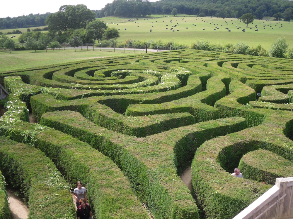 Maze