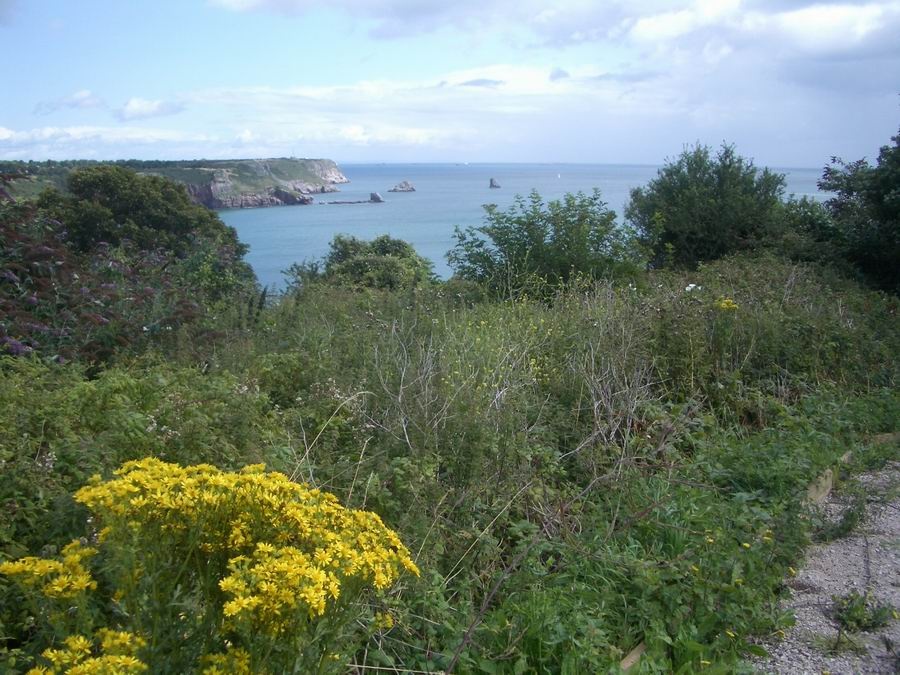 Berry Head, St.Mary's Bay, Brixham