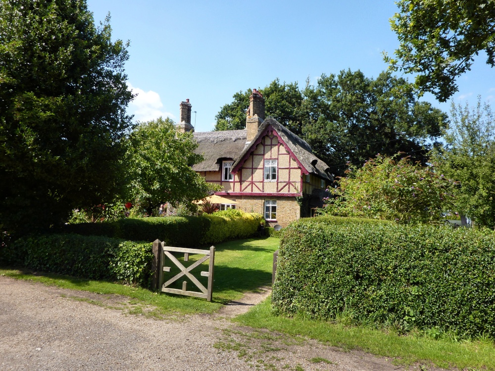 Thatched Cottage