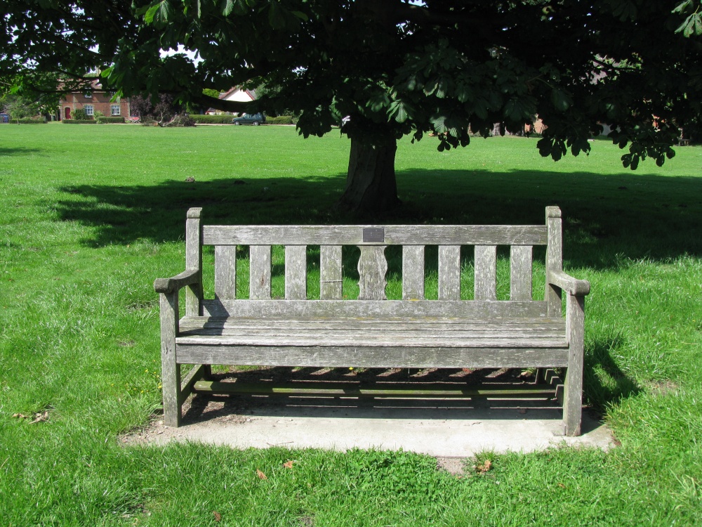Village Seat on the Green