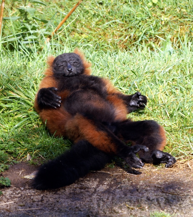 Hey! Dont disturb me.