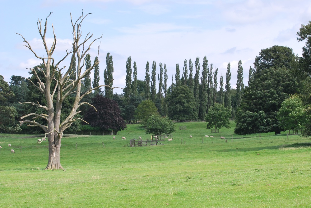 Farmland at Brooksby