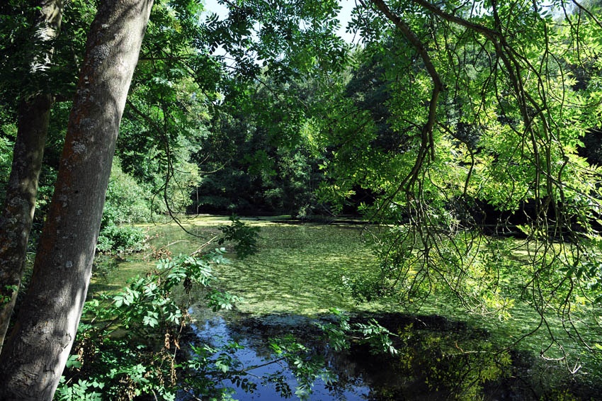 Headington, Oxfordshire.
