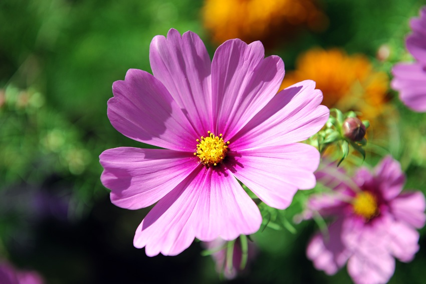 Headington, Oxfordshire.