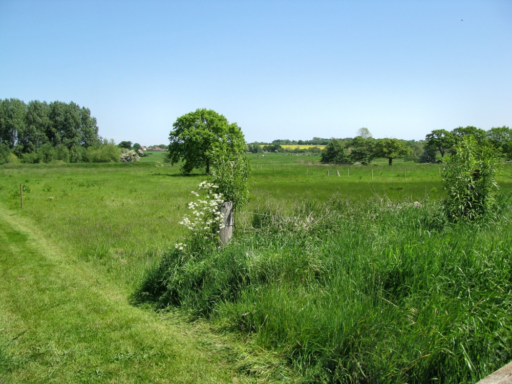 Henstead Marshes