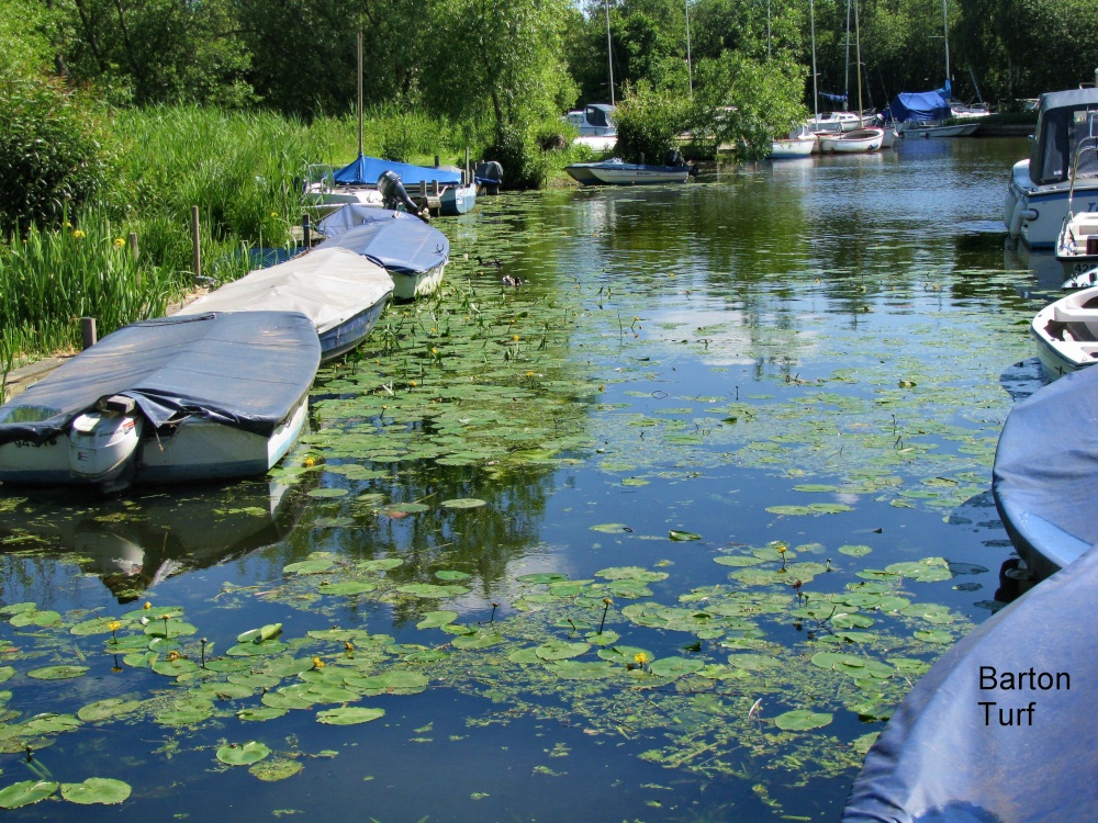 Photograph of A view of  Barton Turf