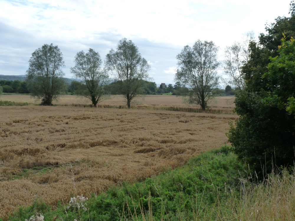 Creech St Michael's Church