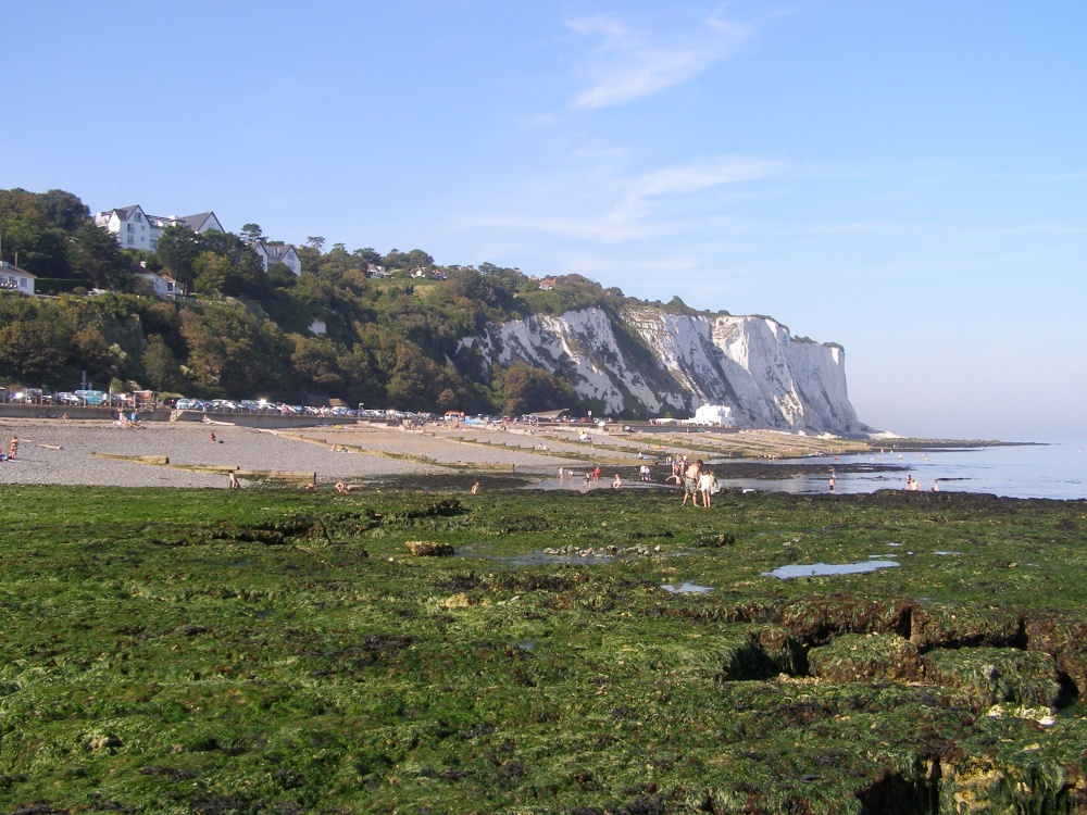 A View From The Rock Pools.