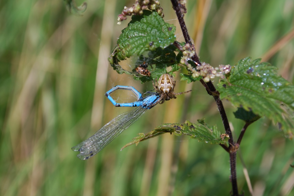 Photograph of Lunchtime