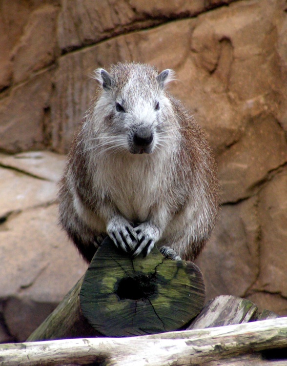 Hurry up, I cant sit like this all day for you.