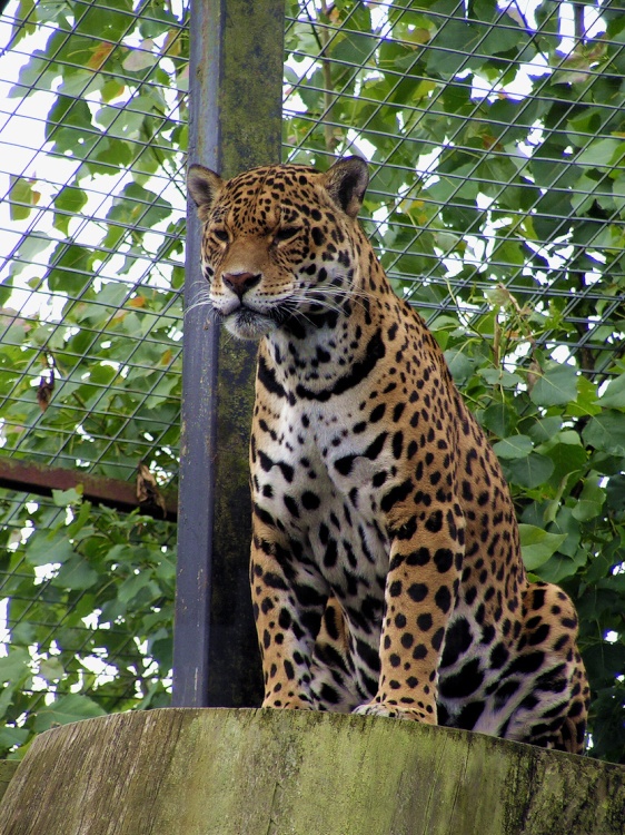 Did someone say grub is up?