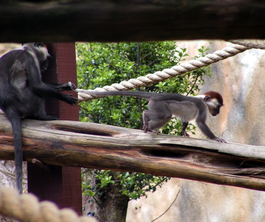 I told you to stay here.