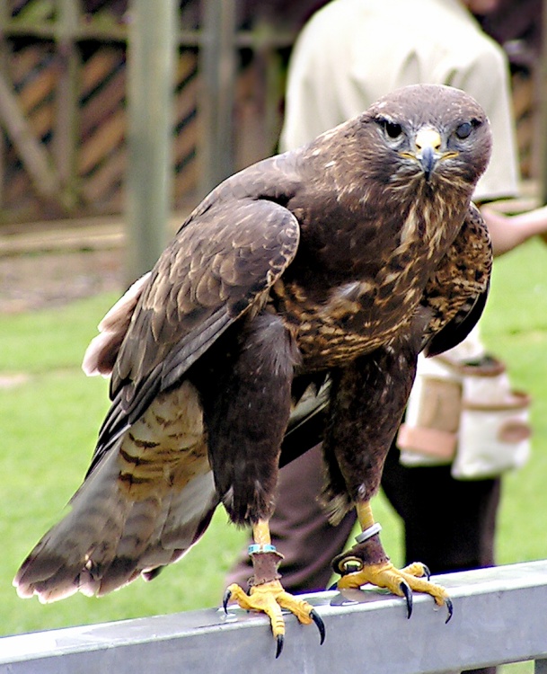 Bet I can outstare you.