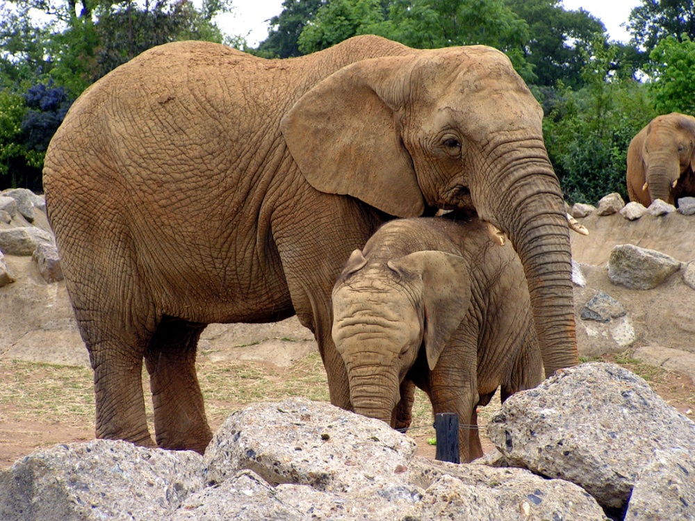 No point in crying, you stay here with me.