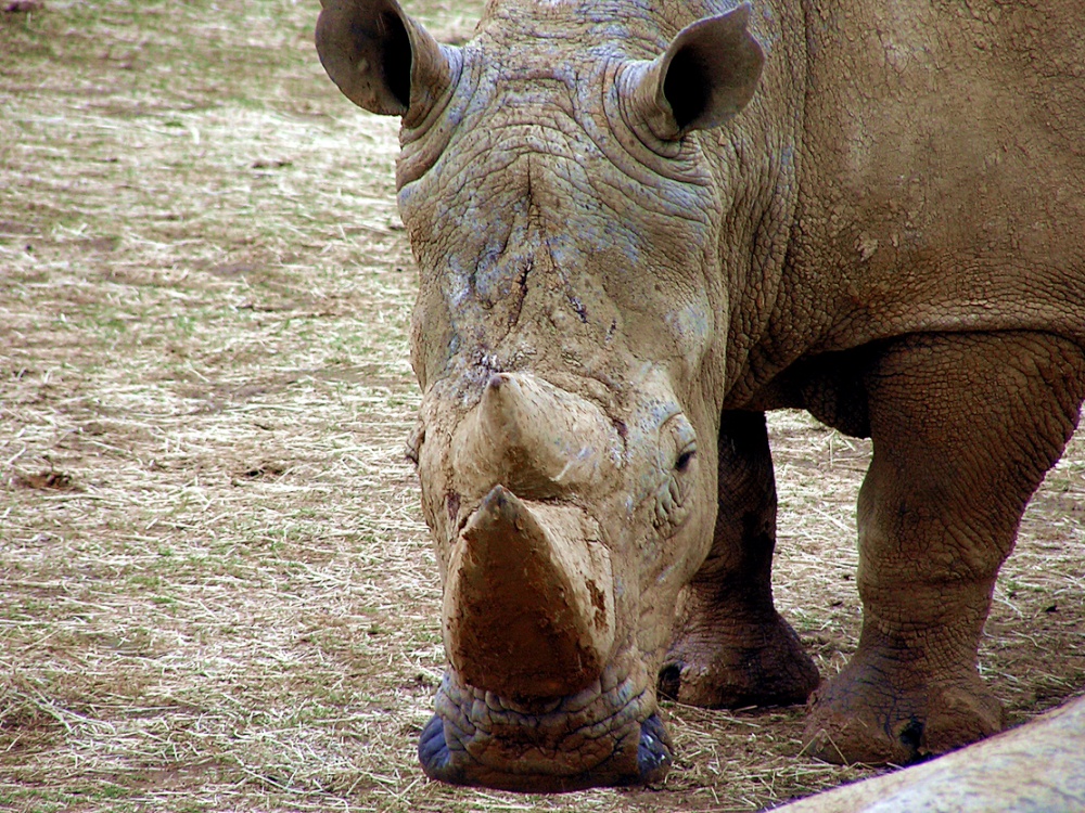 I got my eye's on you.